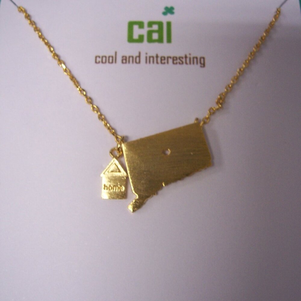 CAI  Cool and Interesting - Home State Necklace - Connecticut